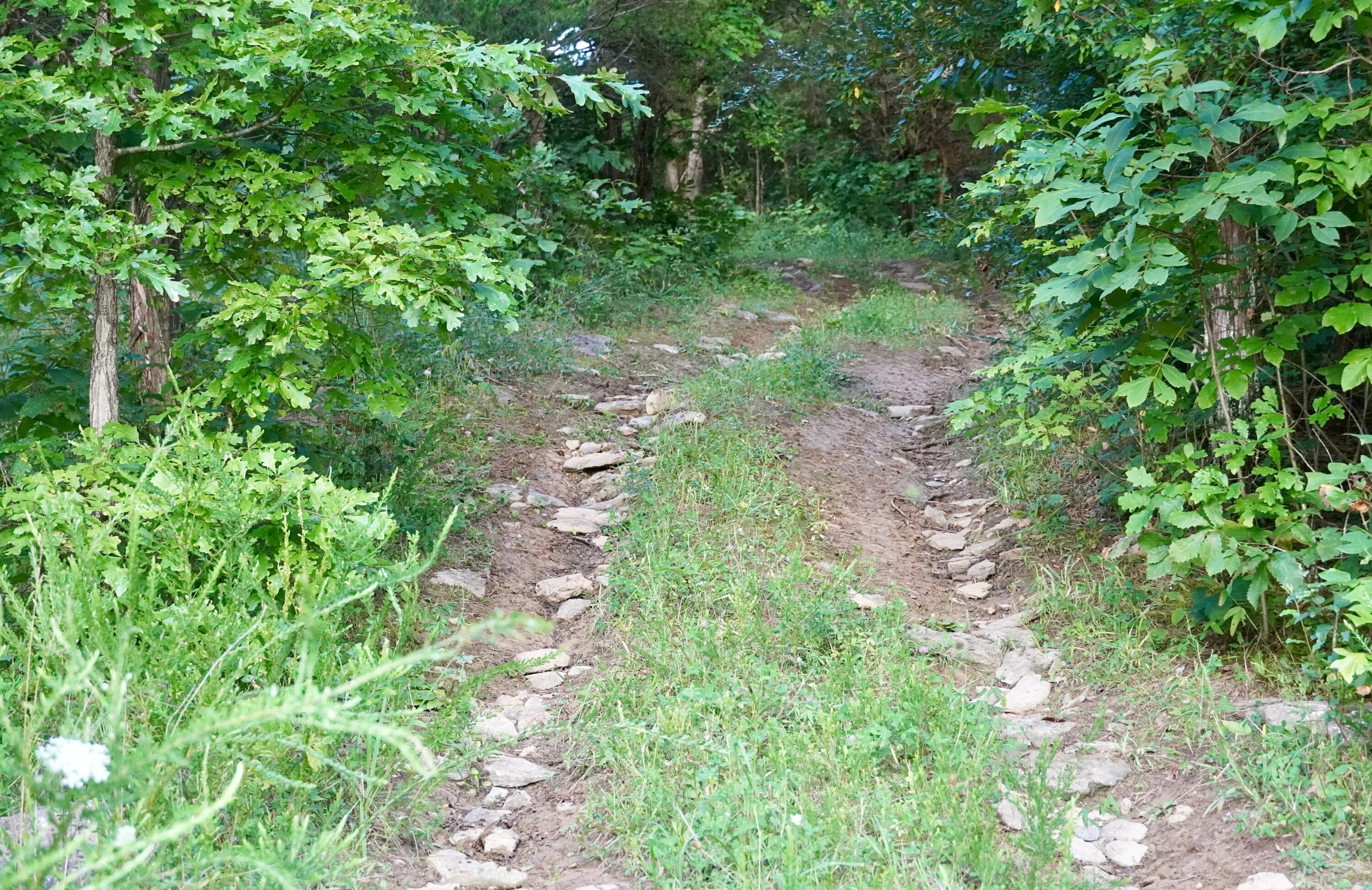 6265 Georgetown Road Owenton, KY 40359 - Photo 134 of 149 OWEN24036