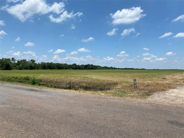 a view of a lake in middle of forest