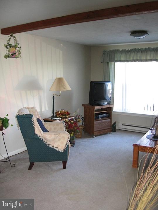 2620 Lebanon Road Manheim, PA 17545 - Photo 5 of 20