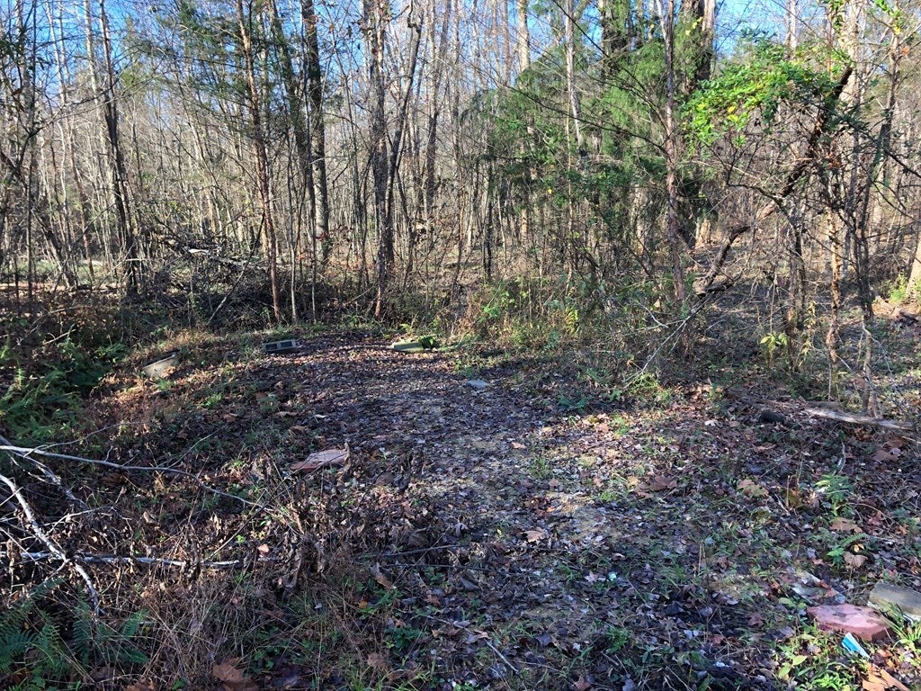 Wards Corner Road, Unit 2 Keysville, VA 23947 - Photo 4 of 9 Gallery Image 4