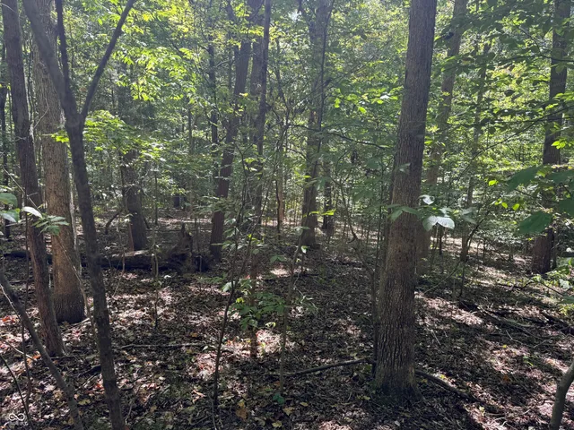 $67,000 | 0 East Big Springs Road, Pekin, IN 47165