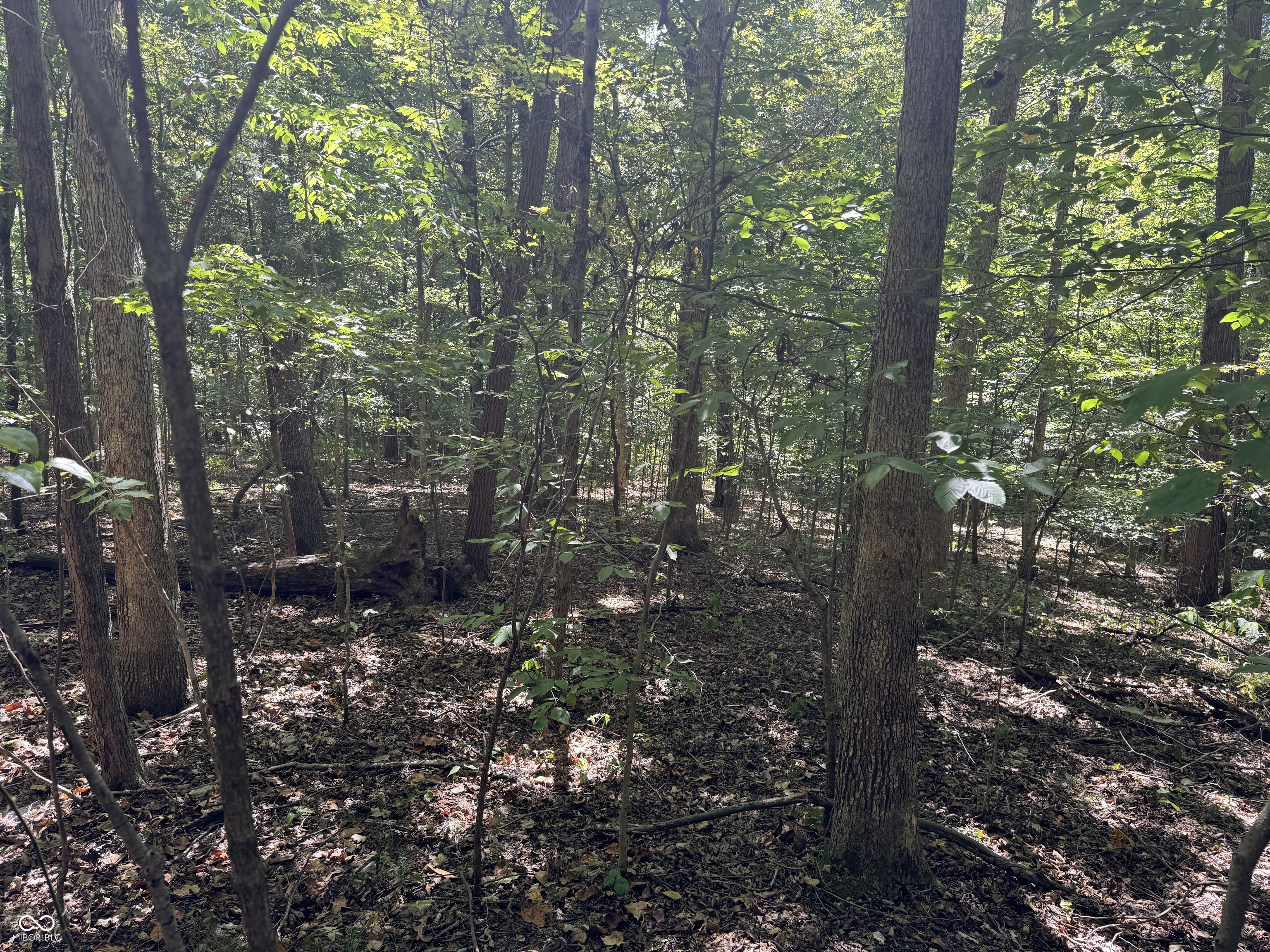 0 East Big Springs Road Pekin, IN 47165 - Photo 11 of 20