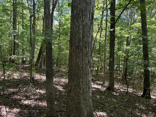 $65,000 | 0 East Big Springs Road, Pekin, IN 47165