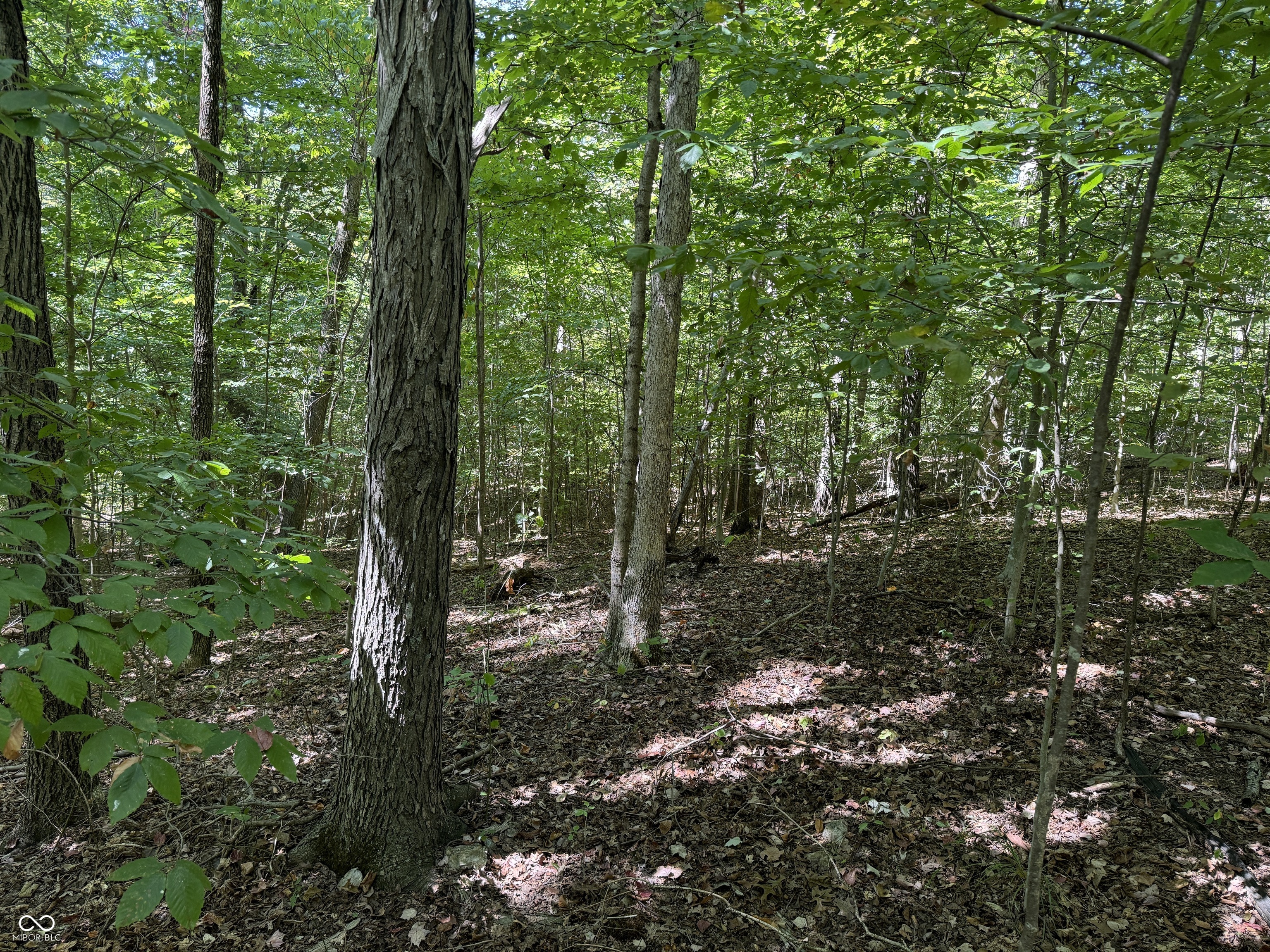 0 East Big Springs Road Pekin, IN 47165 - Photo 12 of 20