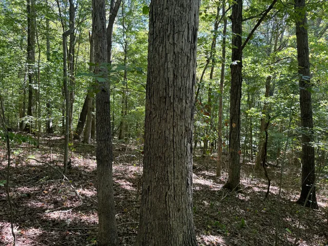 $67,000 | 0 East Big Springs Road, Pekin, IN 47165