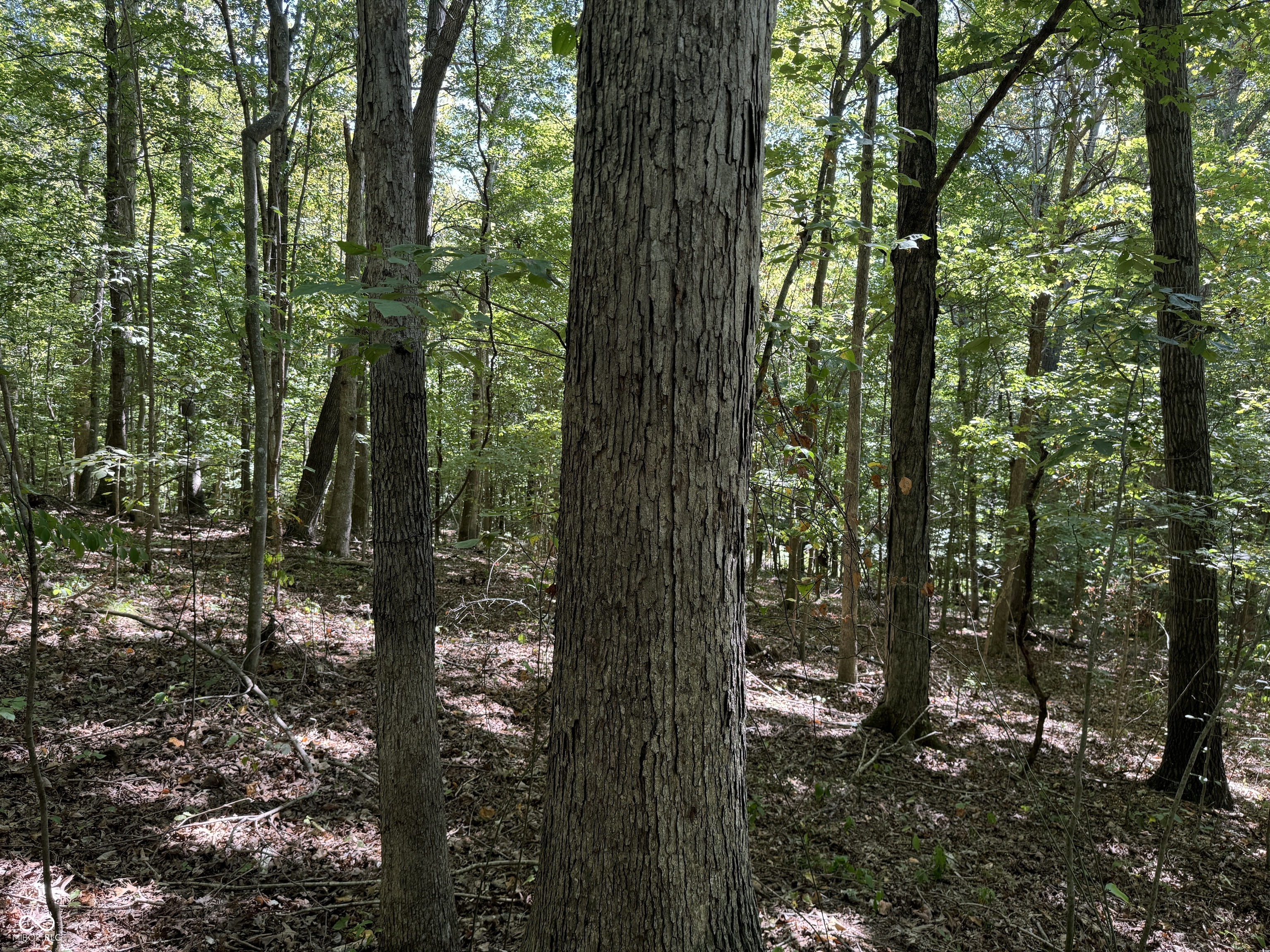 0 East Big Springs Road Pekin, IN 47165 - Photo 13 of 20