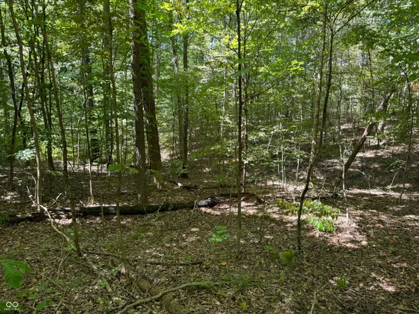 $65,000 | 0 East Big Springs Road, Pekin, IN 47165