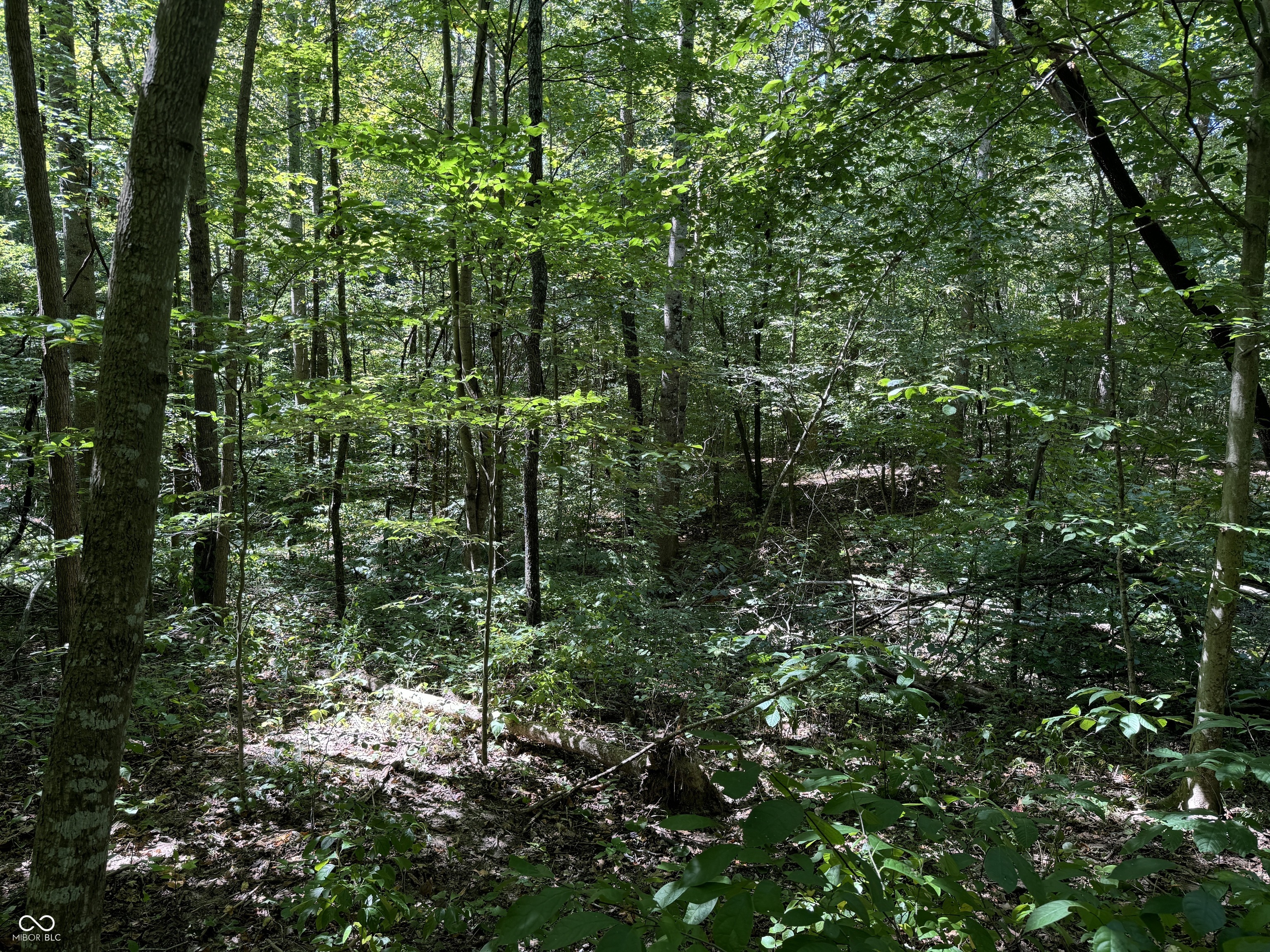 0 East Big Springs Road Pekin, IN 47165 - Photo 15 of 20