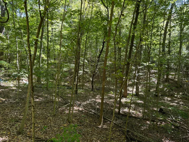 $67,000 | 0 East Big Springs Road, Pekin, IN 47165