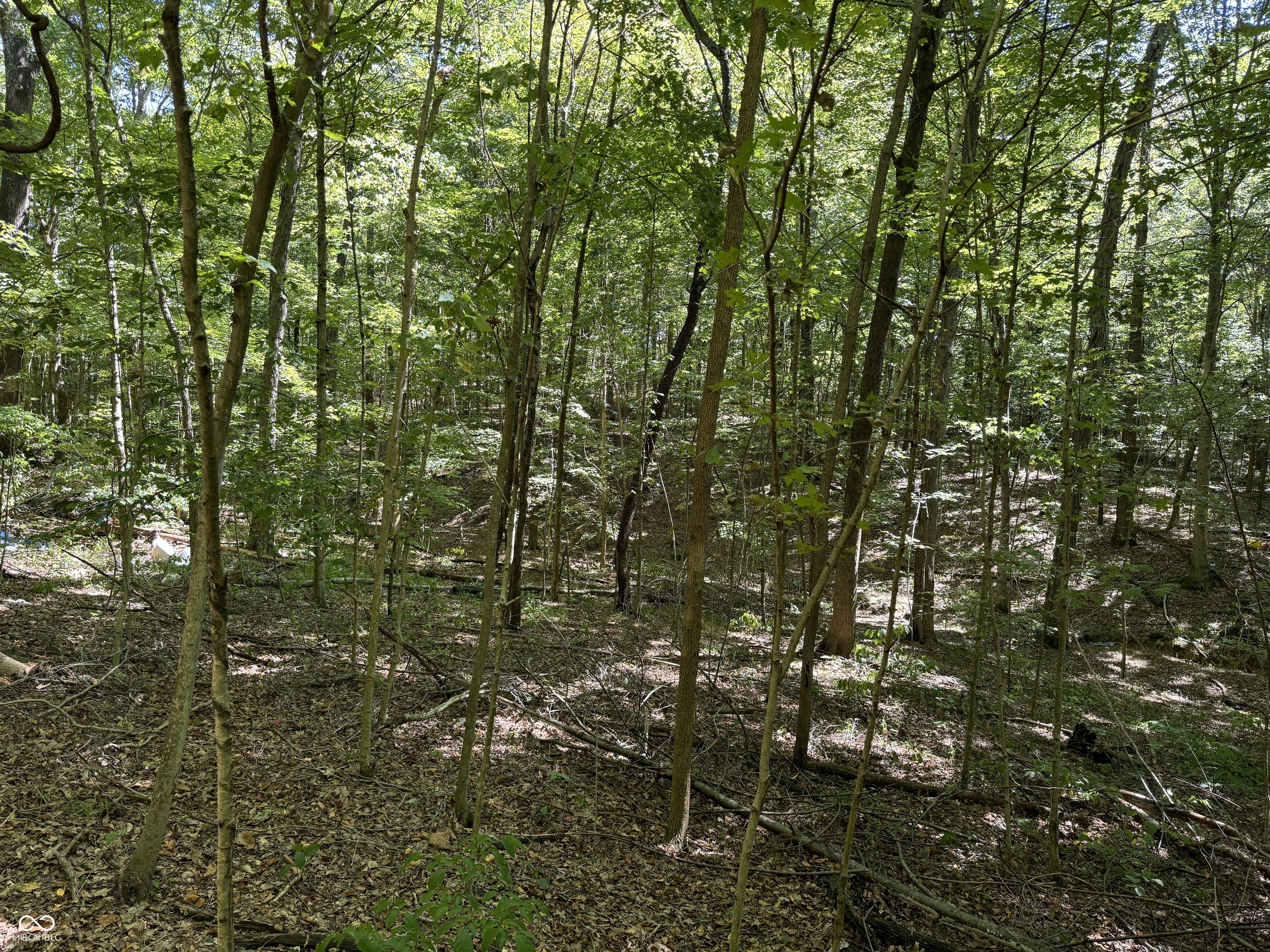 0 East Big Springs Road Pekin, IN 47165 - Photo 16 of 20