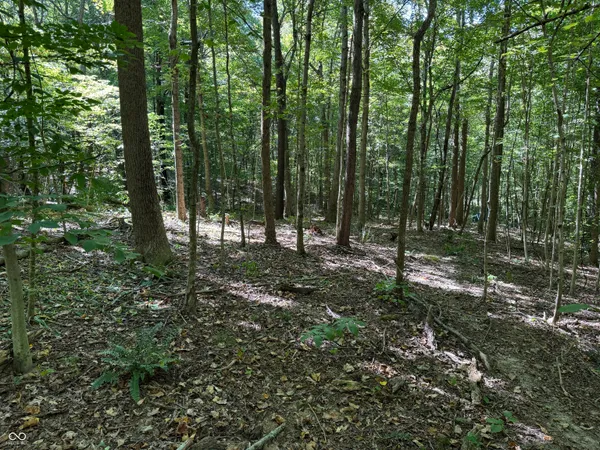 $65,000 | 0 East Big Springs Road, Pekin, IN 47165