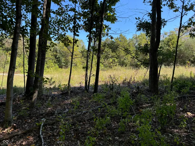 $67,000 | 0 East Big Springs Road, Pekin, IN 47165