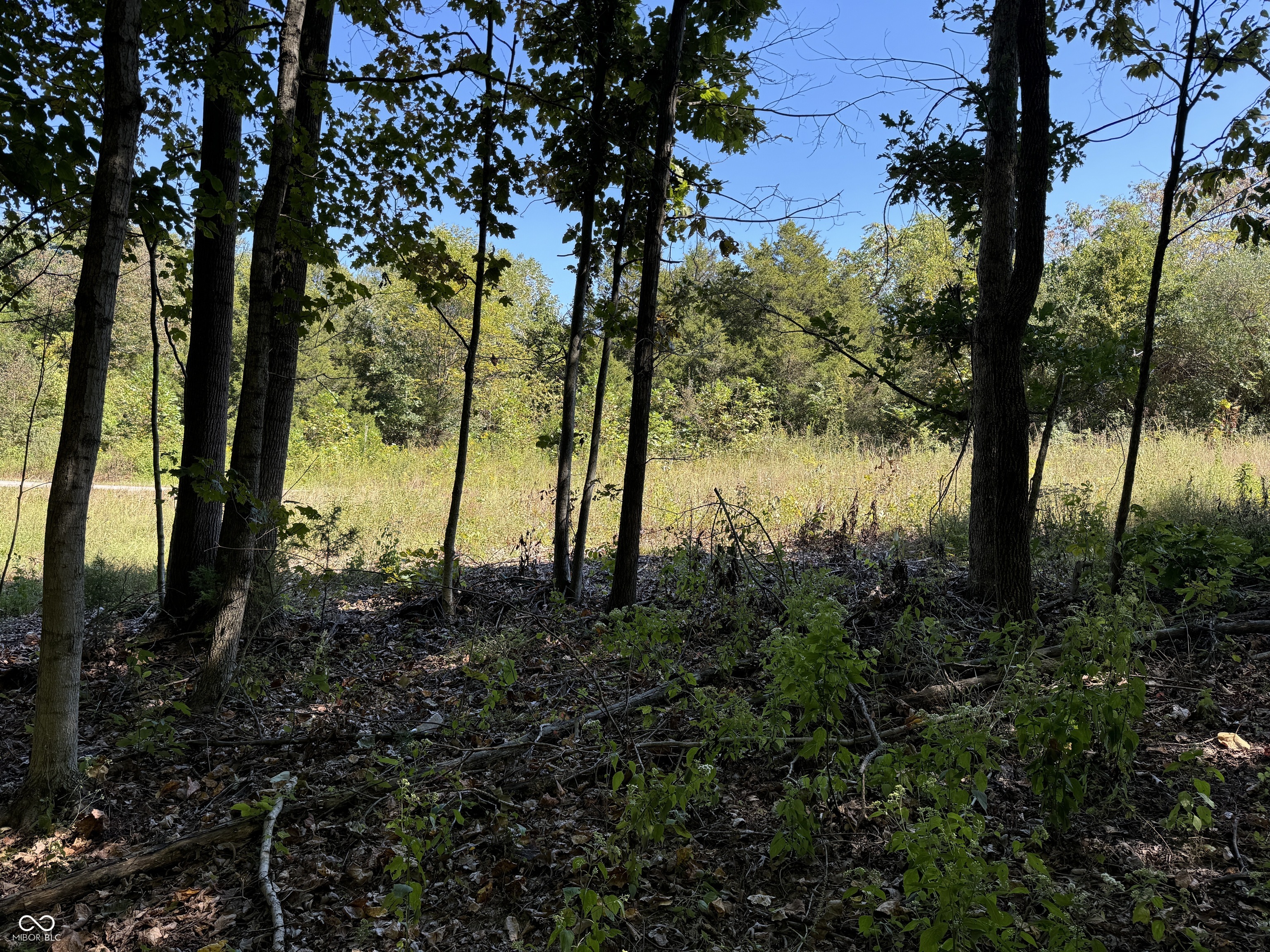 0 East Big Springs Road Pekin, IN 47165 - Photo 17 of 20