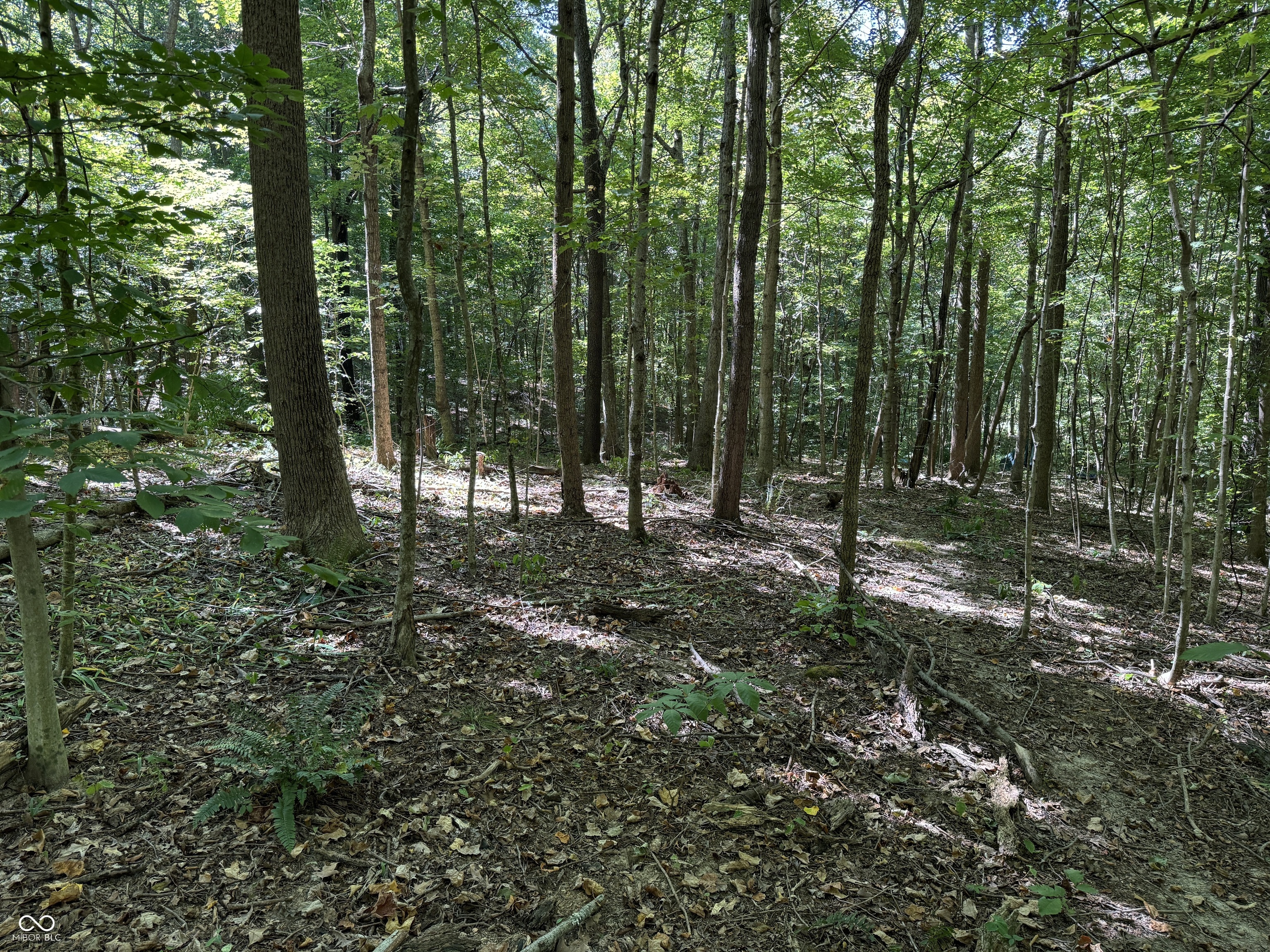 0 East Big Springs Road Pekin, IN 47165 - Photo 18 of 20