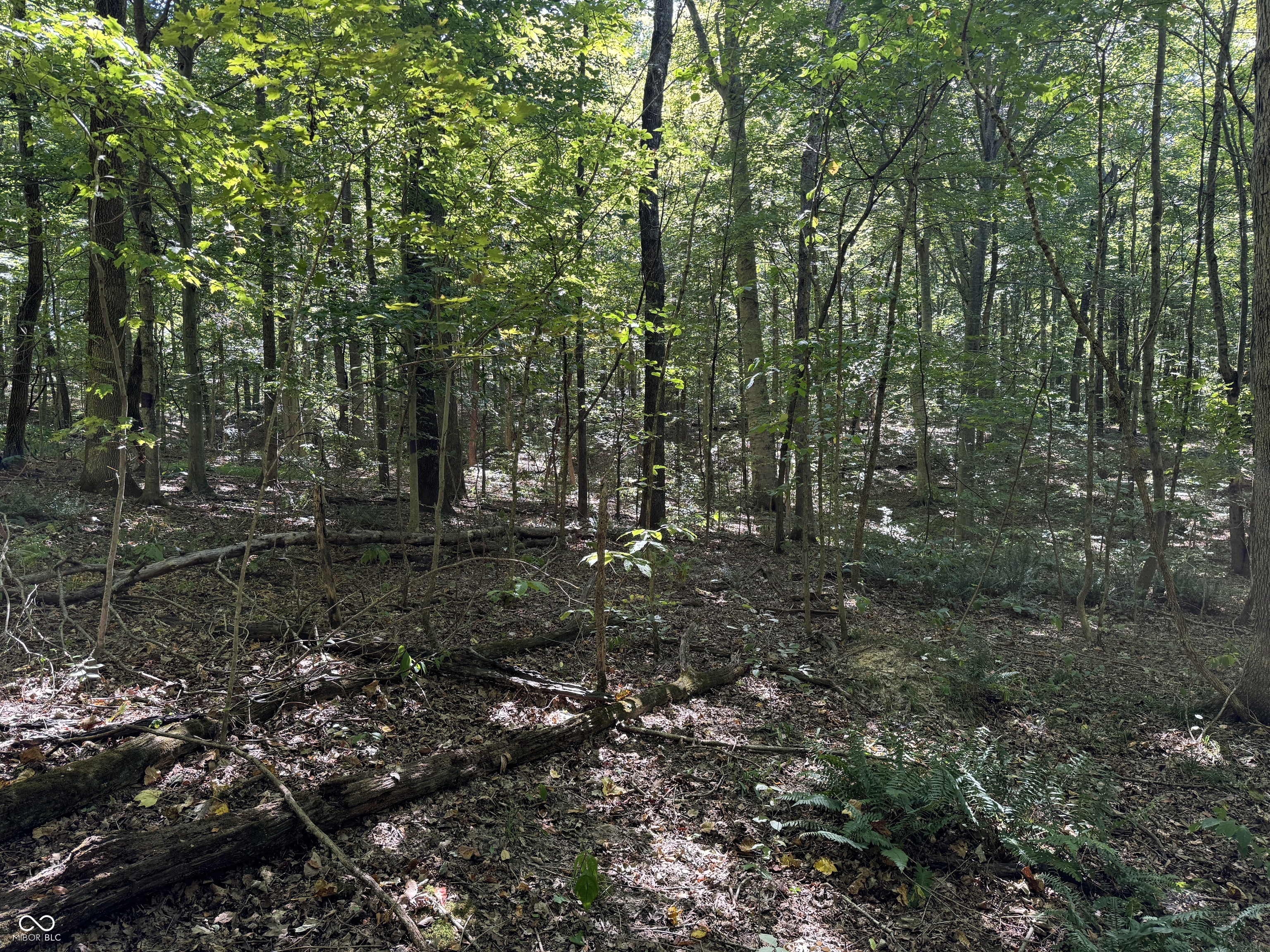 0 East Big Springs Road Pekin, IN 47165 - Photo 2 of 20