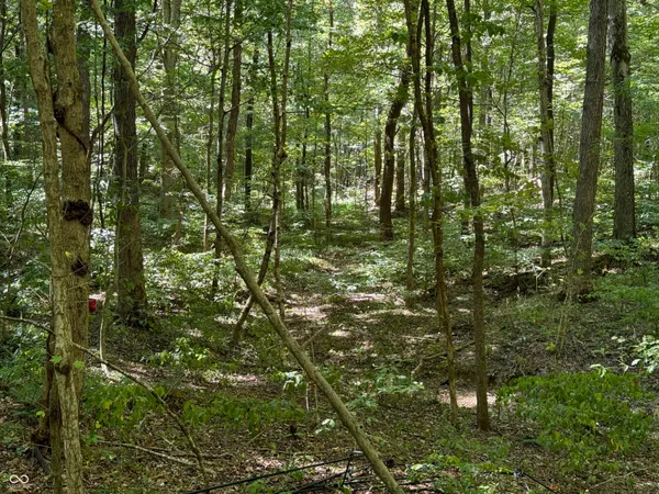 $65,000 | 0 East Big Springs Road, Pekin, IN 47165