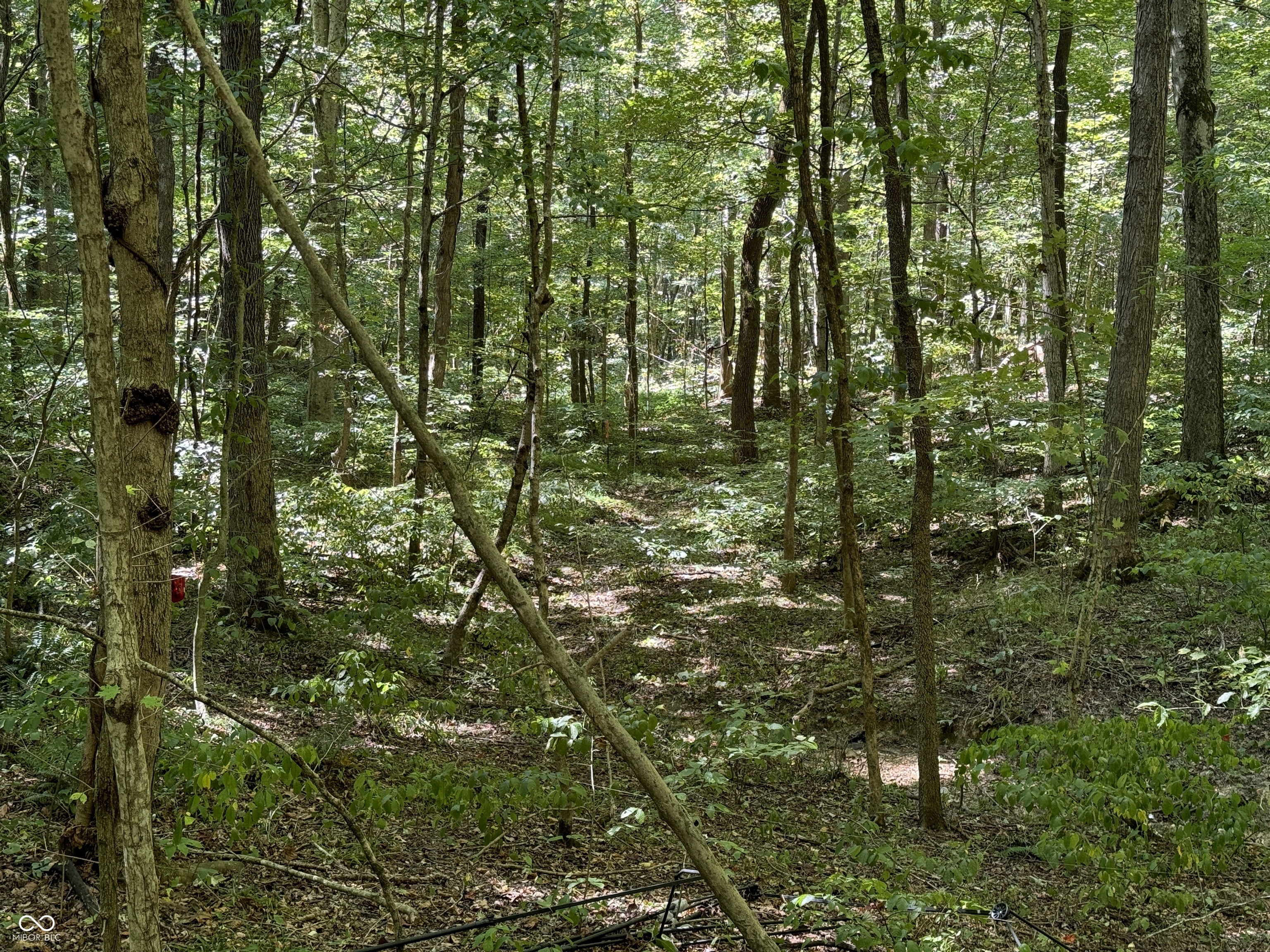 0 East Big Springs Road Pekin, IN 47165 - Photo 3 of 20