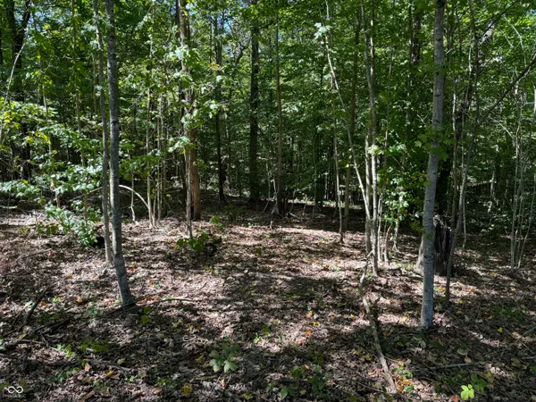 $65,000 | 0 East Big Springs Road, Pekin, IN 47165