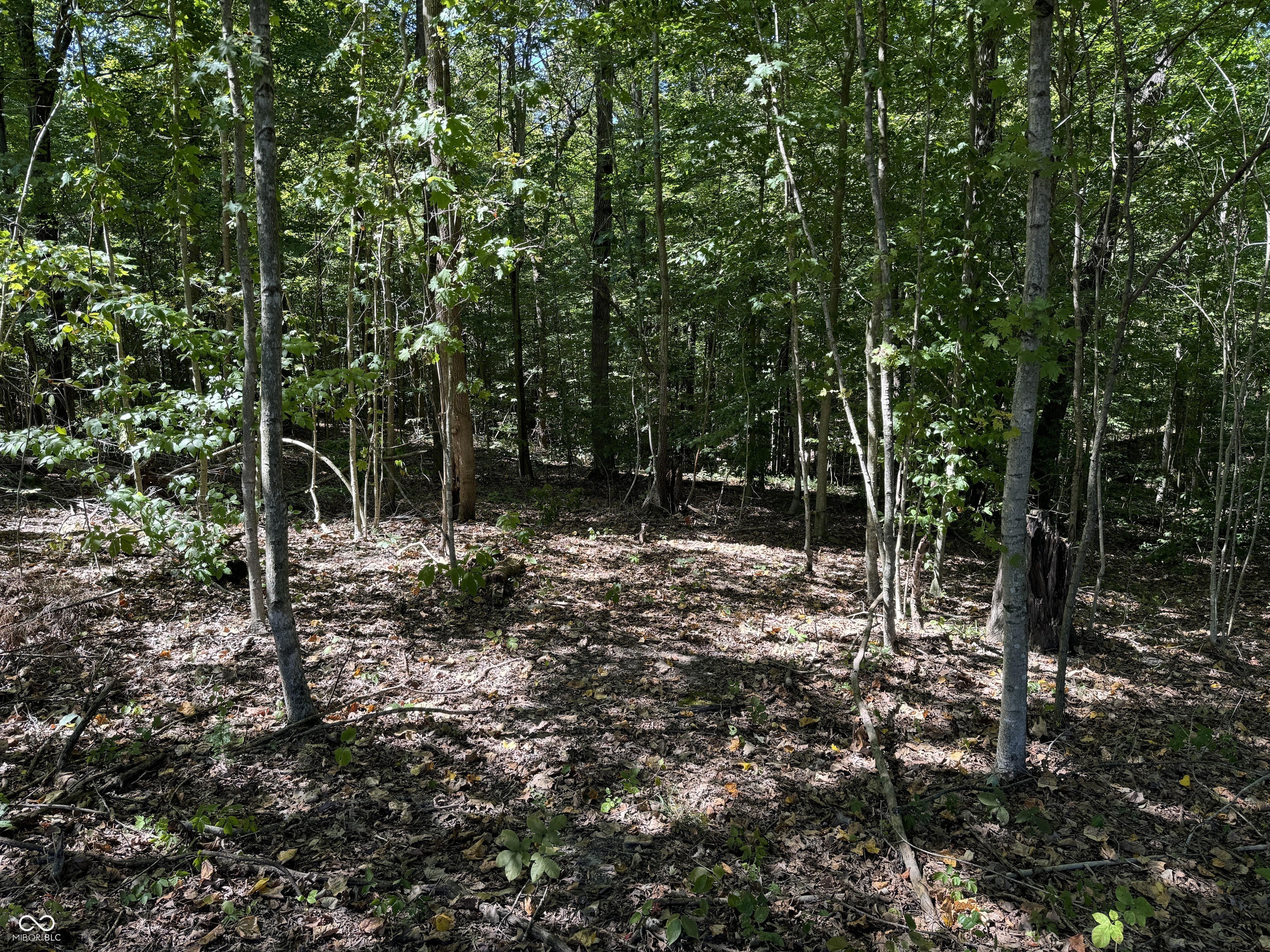 0 East Big Springs Road Pekin, IN 47165 - Photo 5 of 20