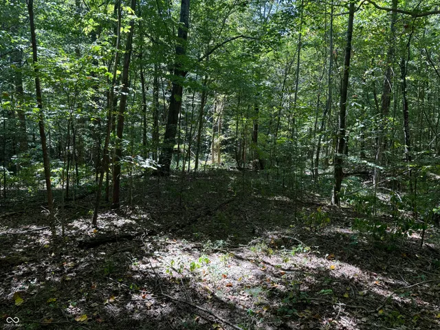 $67,000 | 0 East Big Springs Road, Pekin, IN 47165