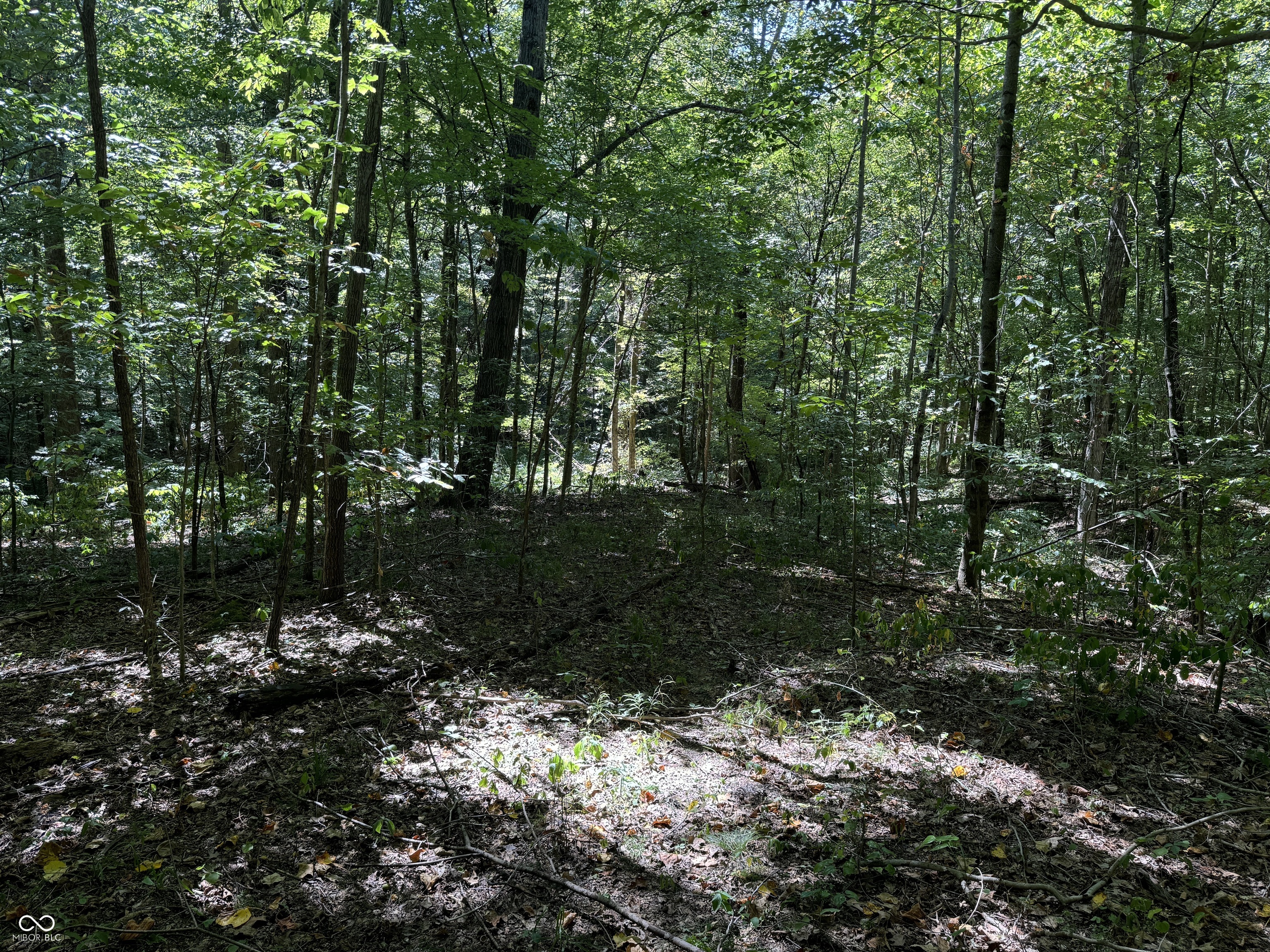 0 East Big Springs Road Pekin, IN 47165 - Photo 6 of 20