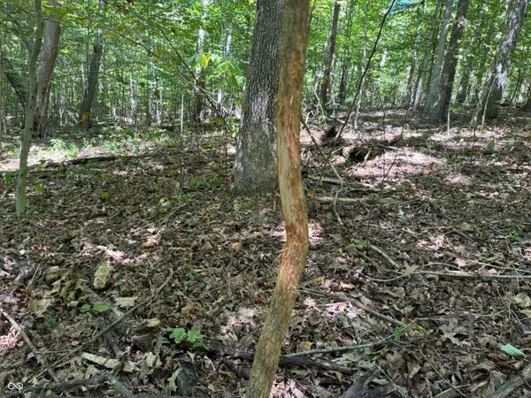 $65,000 | 0 East Big Springs Road, Pekin, IN 47165