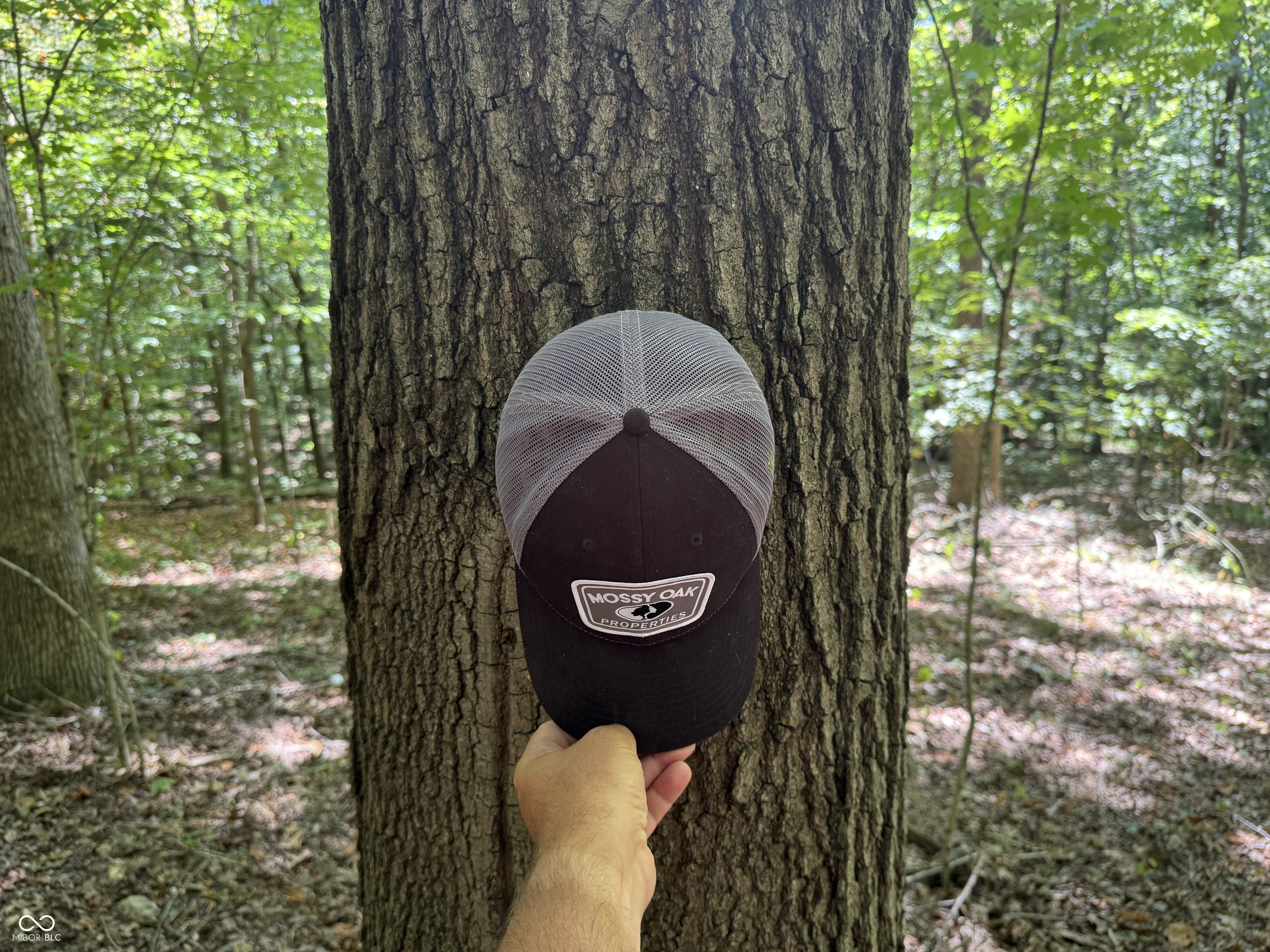 0 East Big Springs Road Pekin, IN 47165 - Photo 7 of 20