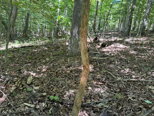 $67,000 | 0 East Big Springs Road, Pekin, IN 47165