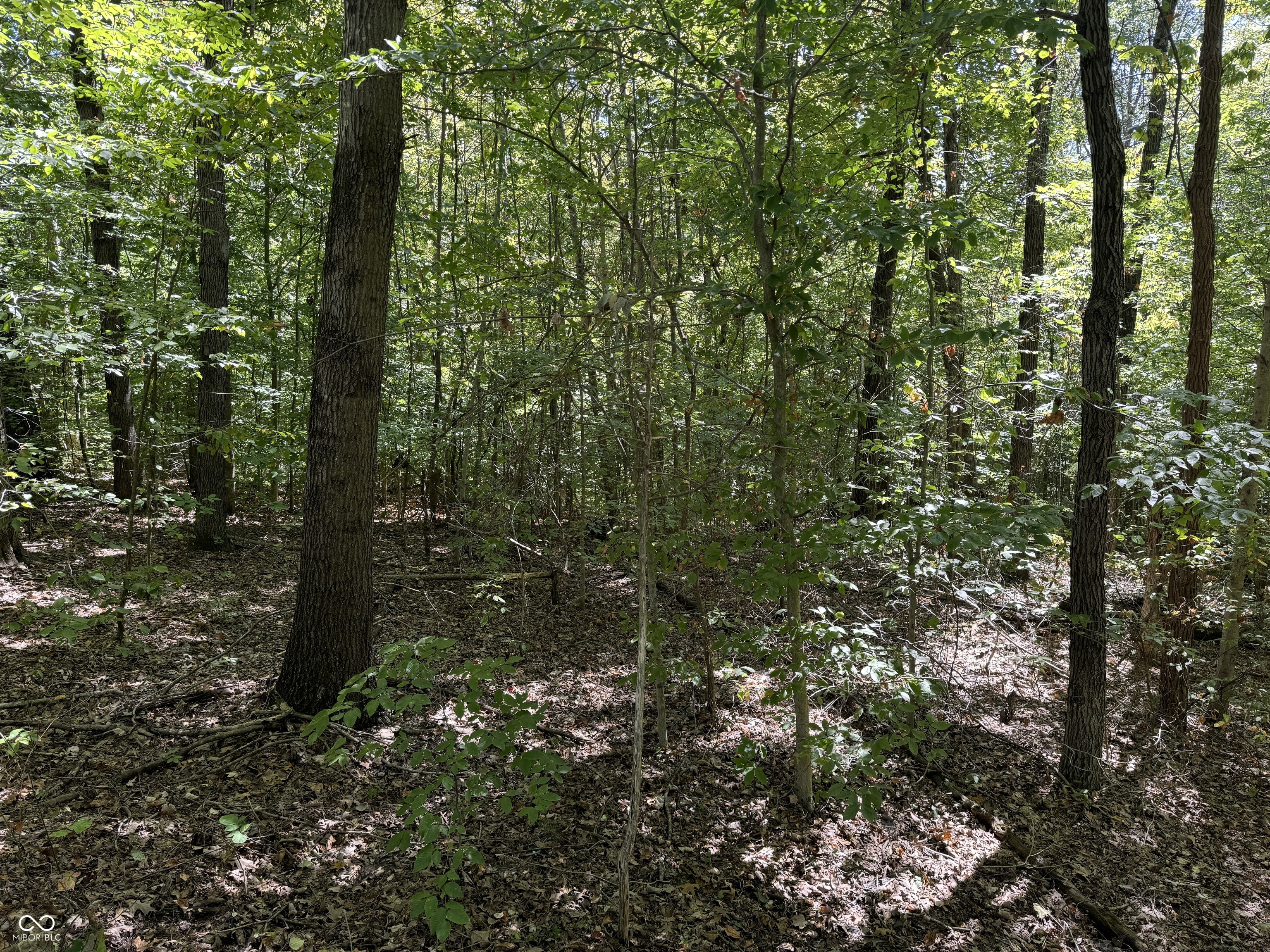 0 East Big Springs Road Pekin, IN 47165 - Photo 9 of 20