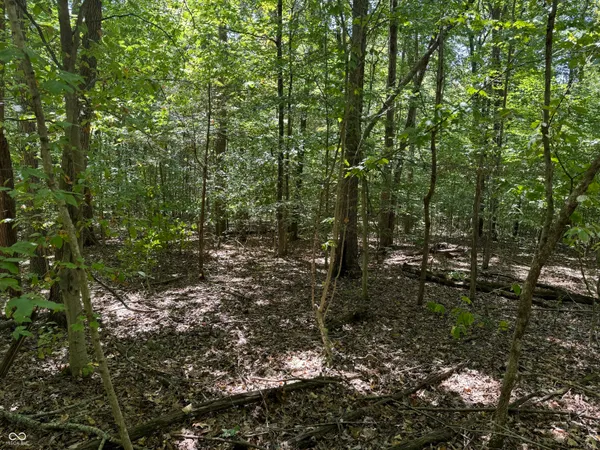 $65,000 | 0 East Big Springs Road, Pekin, IN 47165