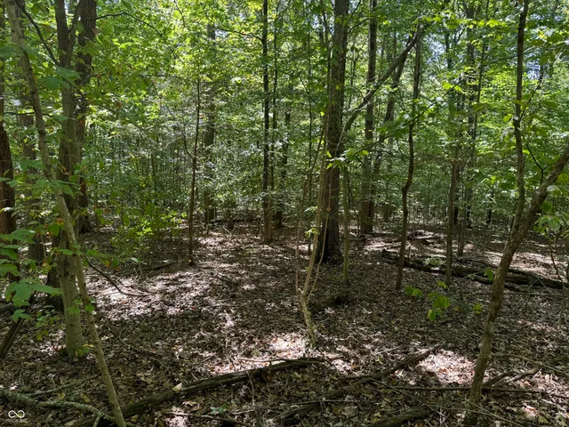 $67,000 | 0 East Big Springs Road, Pekin, IN 47165