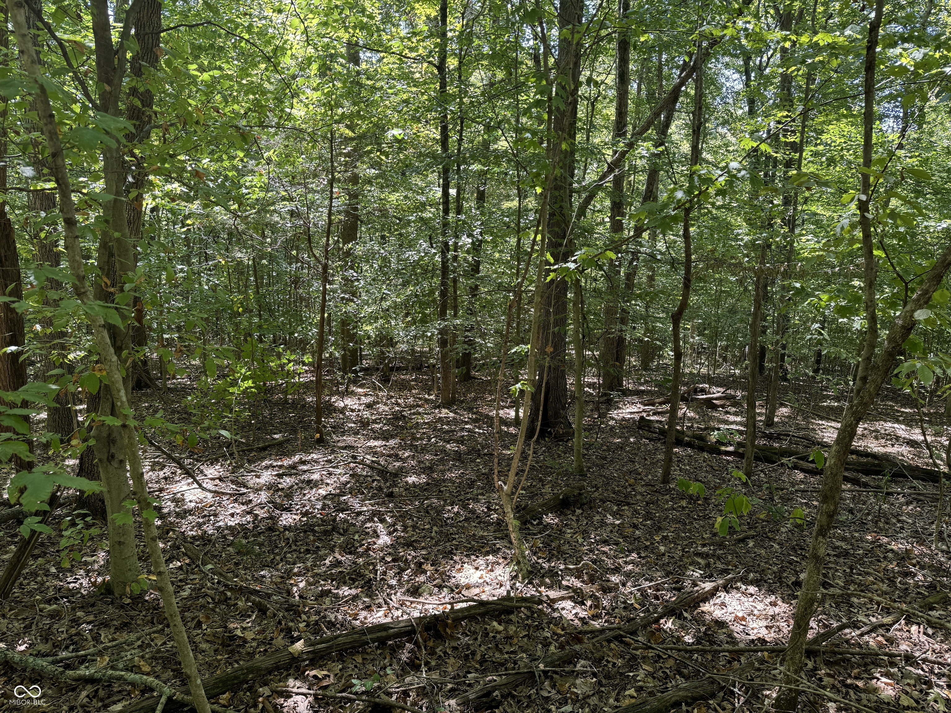 0 East Big Springs Road Pekin, IN 47165 - Photo 10 of 20