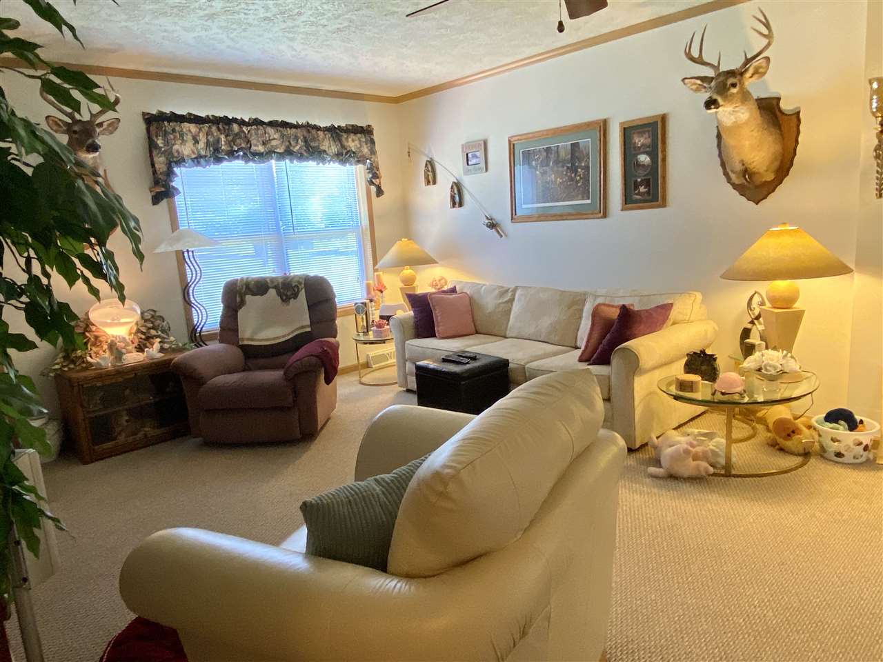 2698 South 9 Road Harrietta, MI 49638 - Photo 13 of 24 1876929-12.JPG