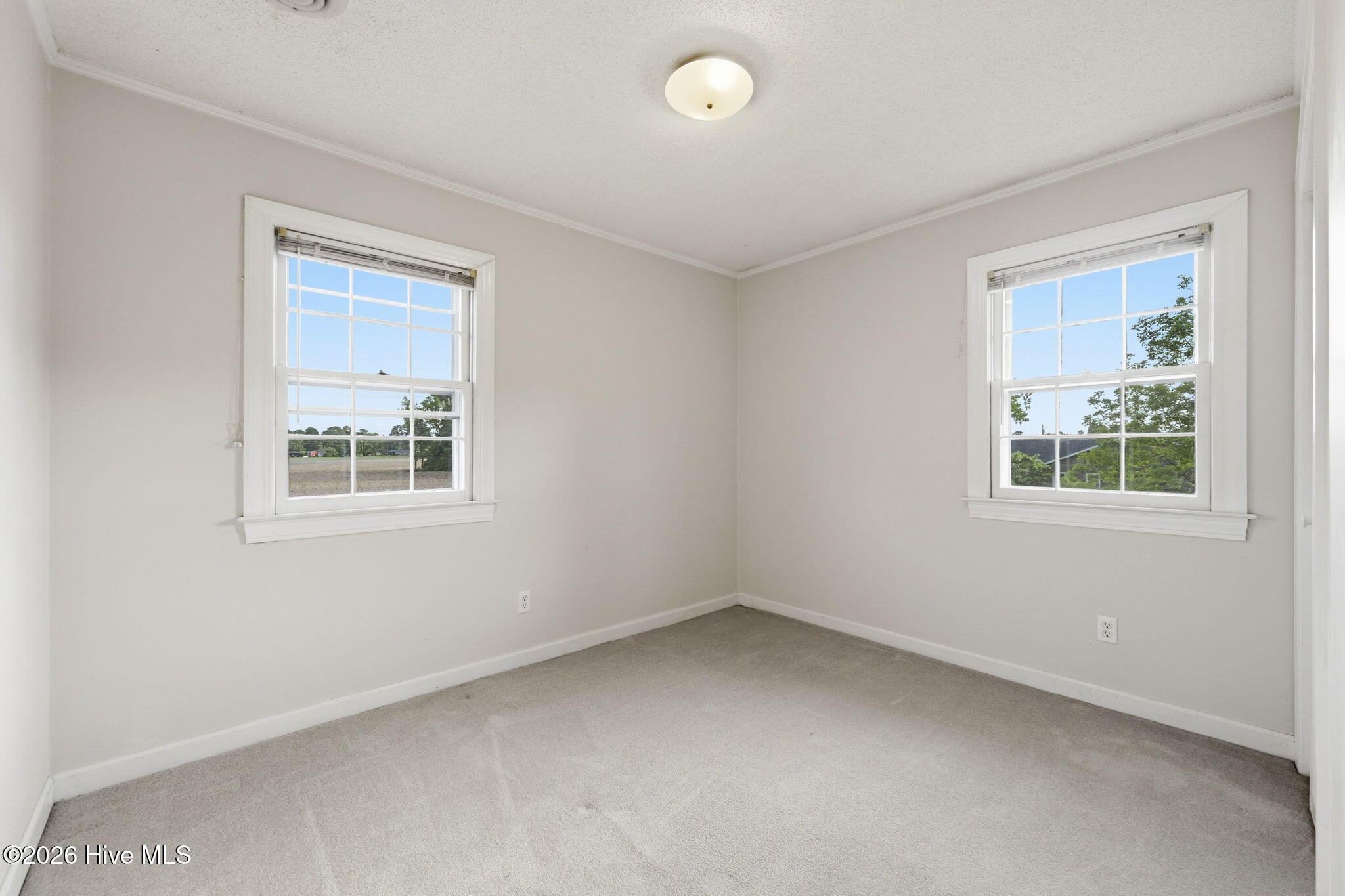 149 Quinn Store Road Beulaville, NC 28518 - Photo 53 of 58 53-web-or-mls-_rad3343
