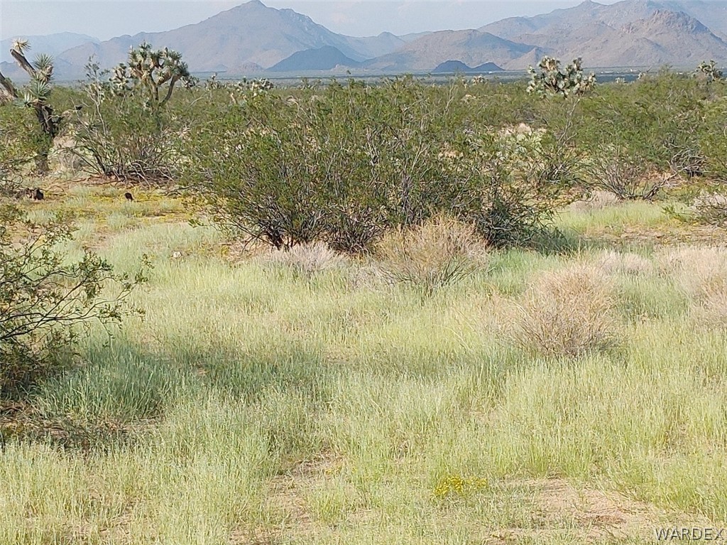 21563 South Javalina Road Yucca, AZ 86438 - Photo 35 of 37 Gallery Image 35