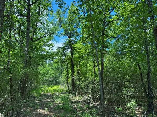 $162,875 | 295 Oakwood Tx 75855, Oakwood, TX 75855