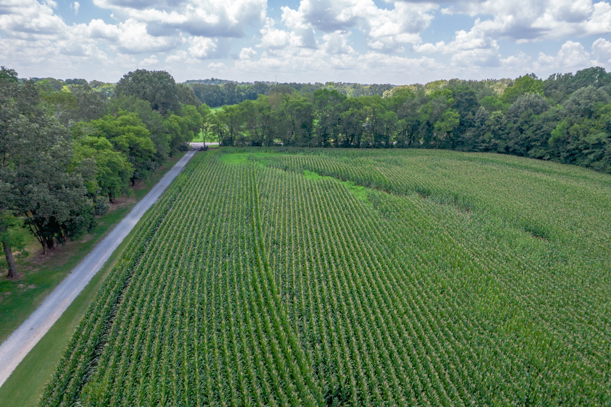 5829 County Road 6 Florence, AL 35633 - Photo 19 of 32 a view of a green field