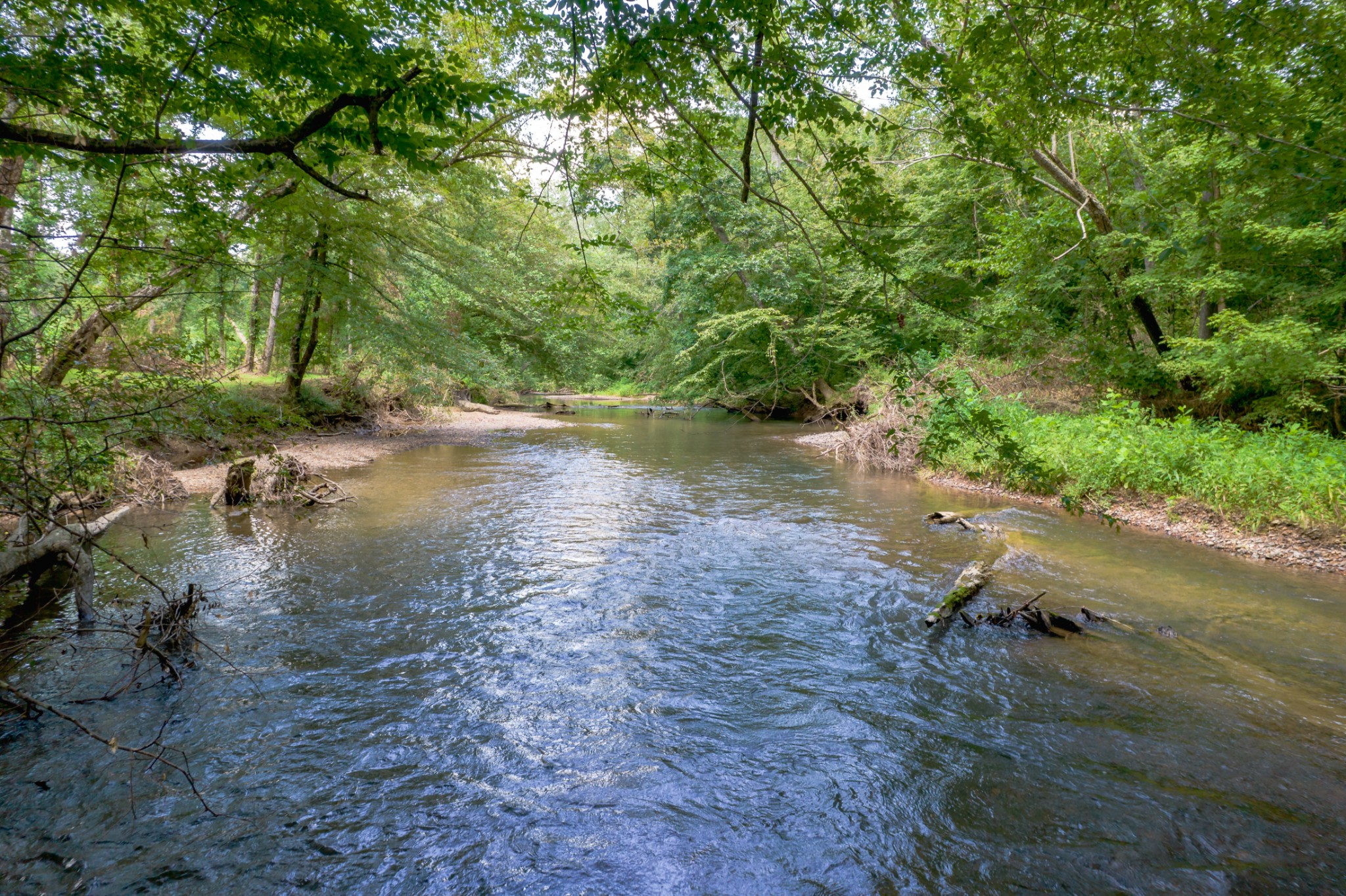 5829 County Road 6 Florence, AL 35633 - Photo 22 of 32 a view of a lake view with large trees