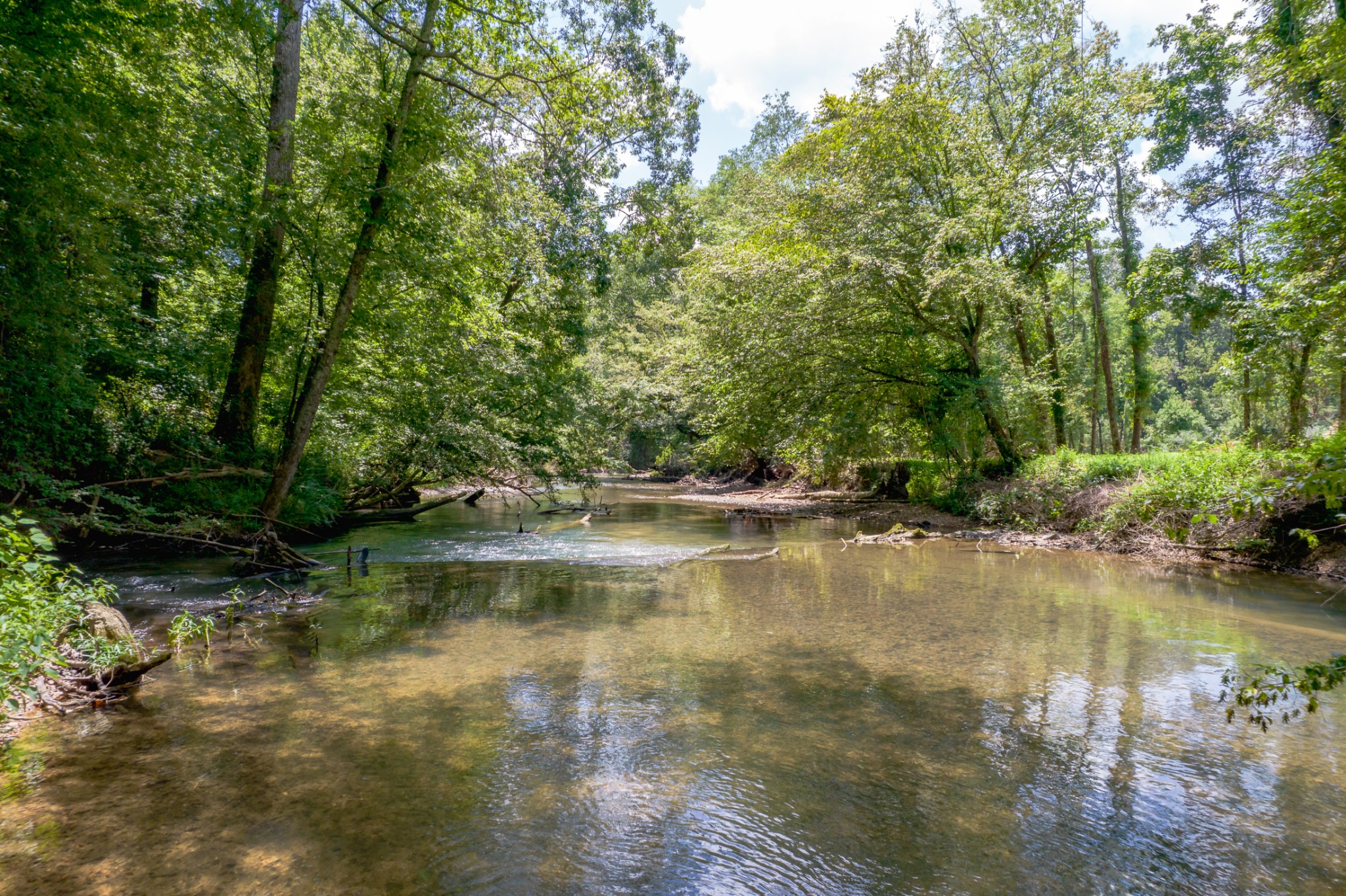 5829 County Road 6 Florence, AL 35633 - Photo 24 of 32 a view of swimming pool with a yard