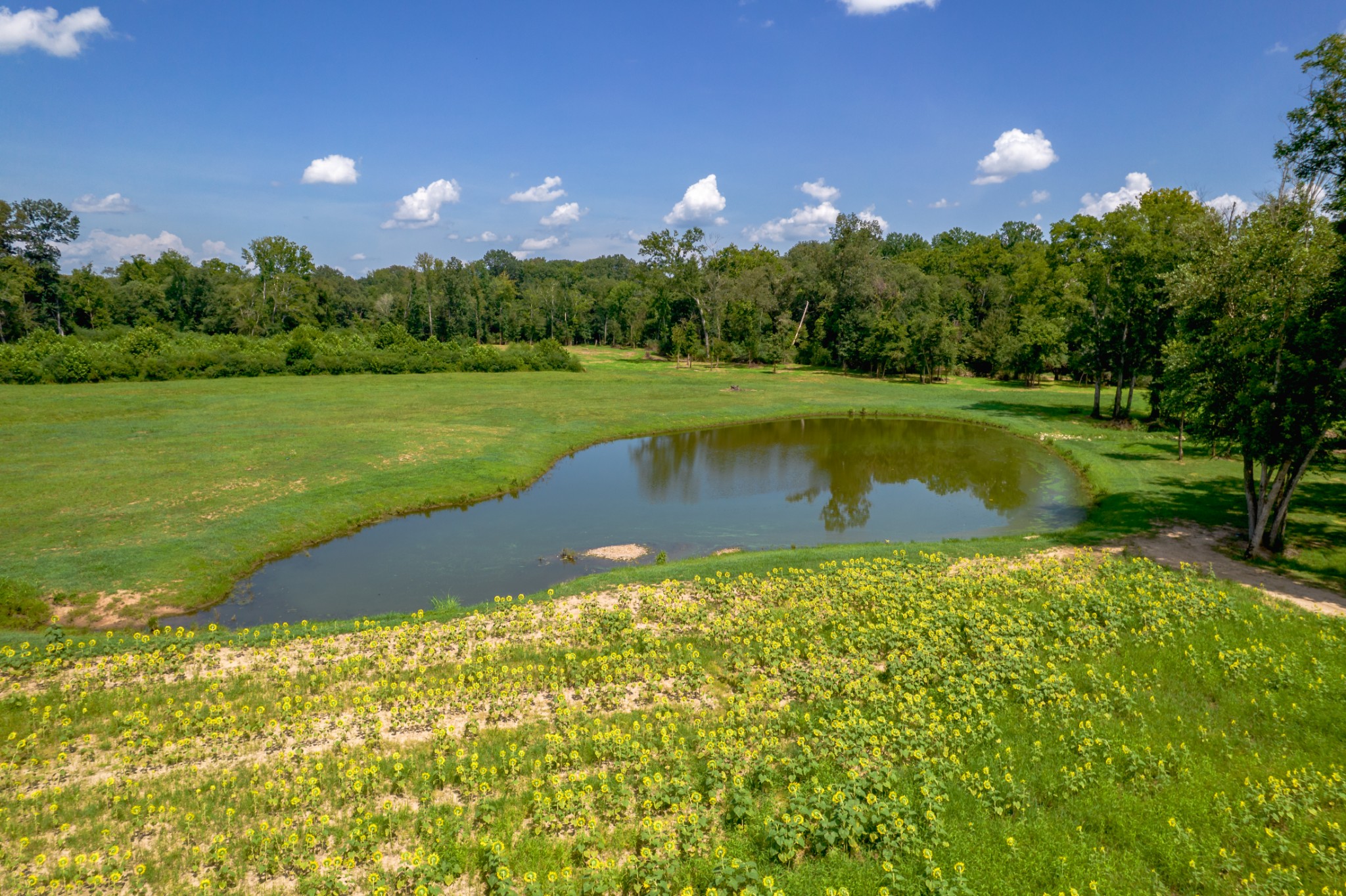 5829 County Road 6 Florence, AL 35633 - Photo 28 of 32 a view of a golf course with a lake view
