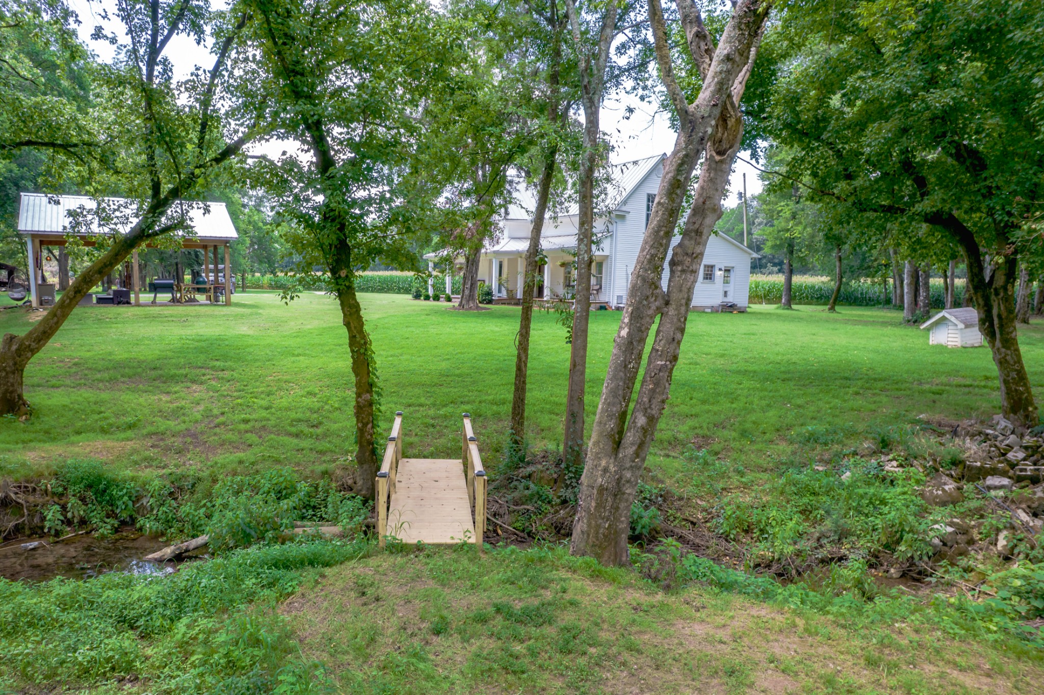 5829 County Road 6 Florence, AL 35633 - Photo 30 of 32 a view of a garden with a tree