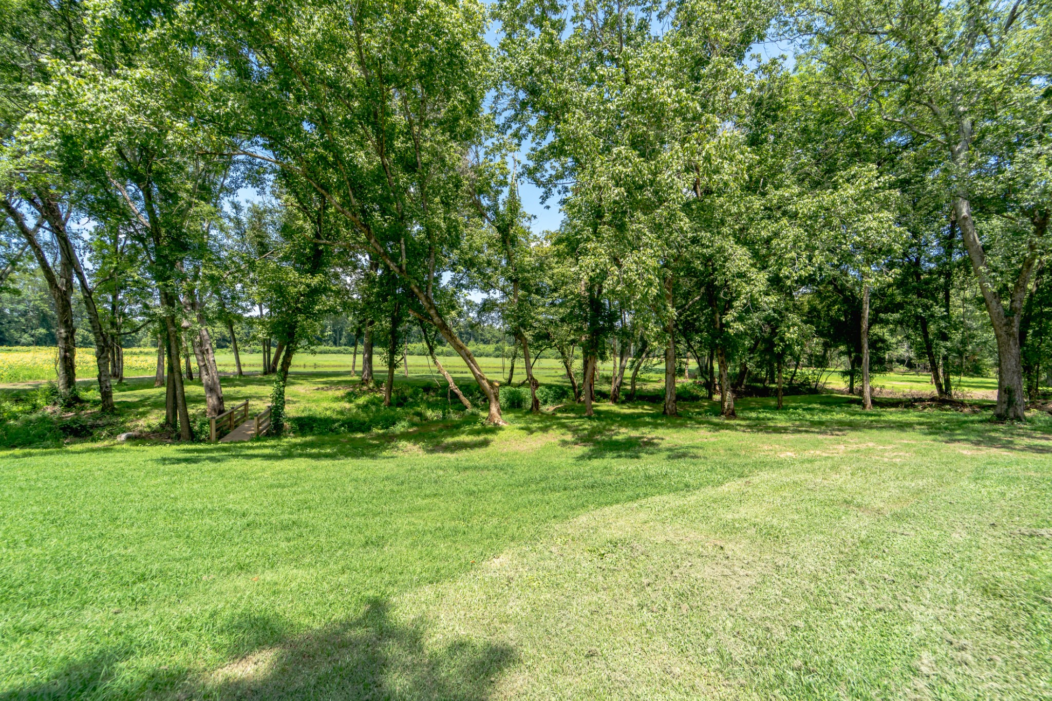 5829 County Road 6 Florence, AL 35633 - Photo 32 of 32 a view of a park with trees and grass