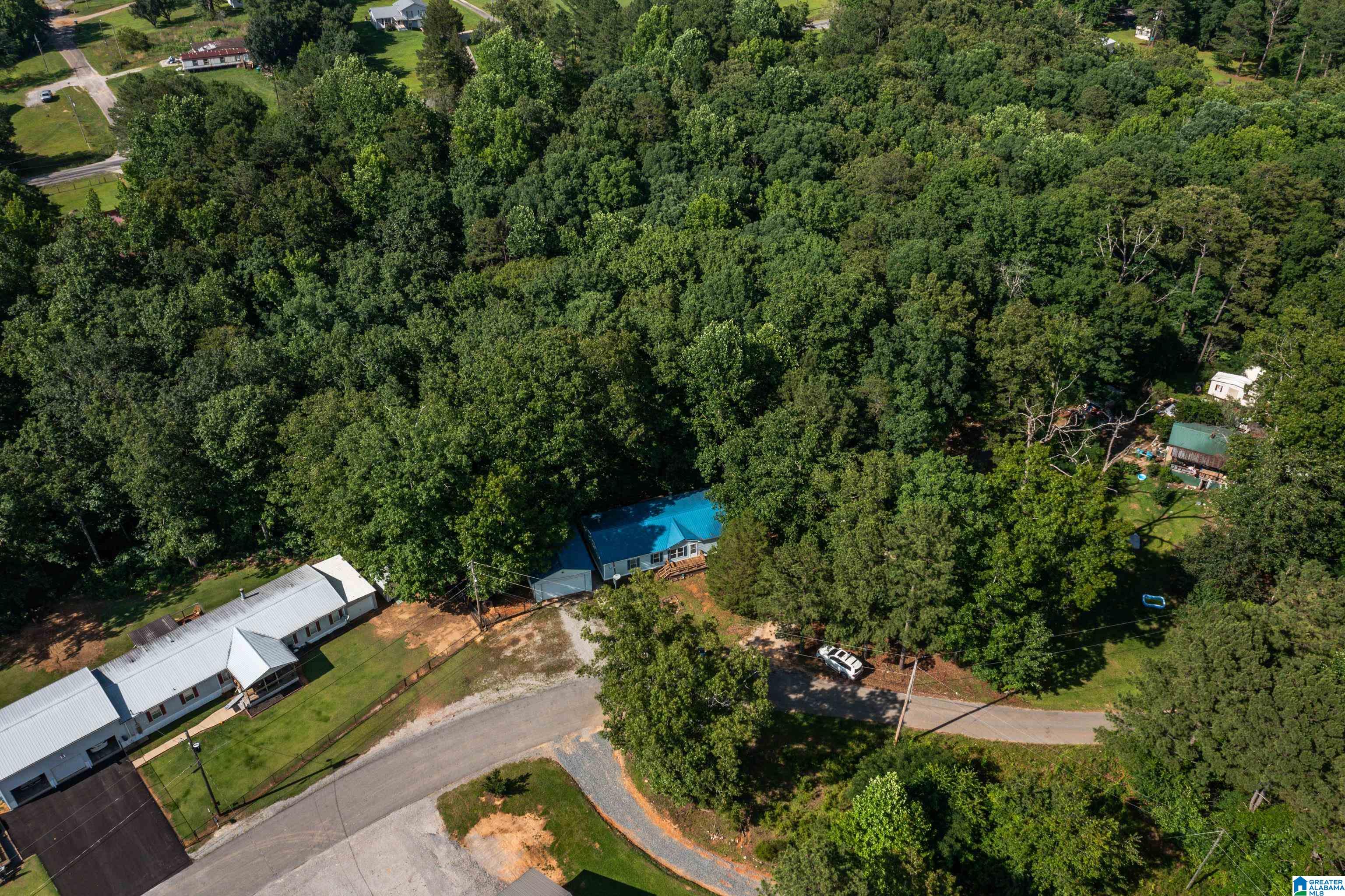 650 Davidson Drive Locust Fork, AL 35097 - Photo 2 of 55