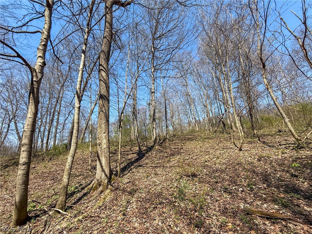 Claysville Road Cumberland, OH 43732 - Photo 42 of 47