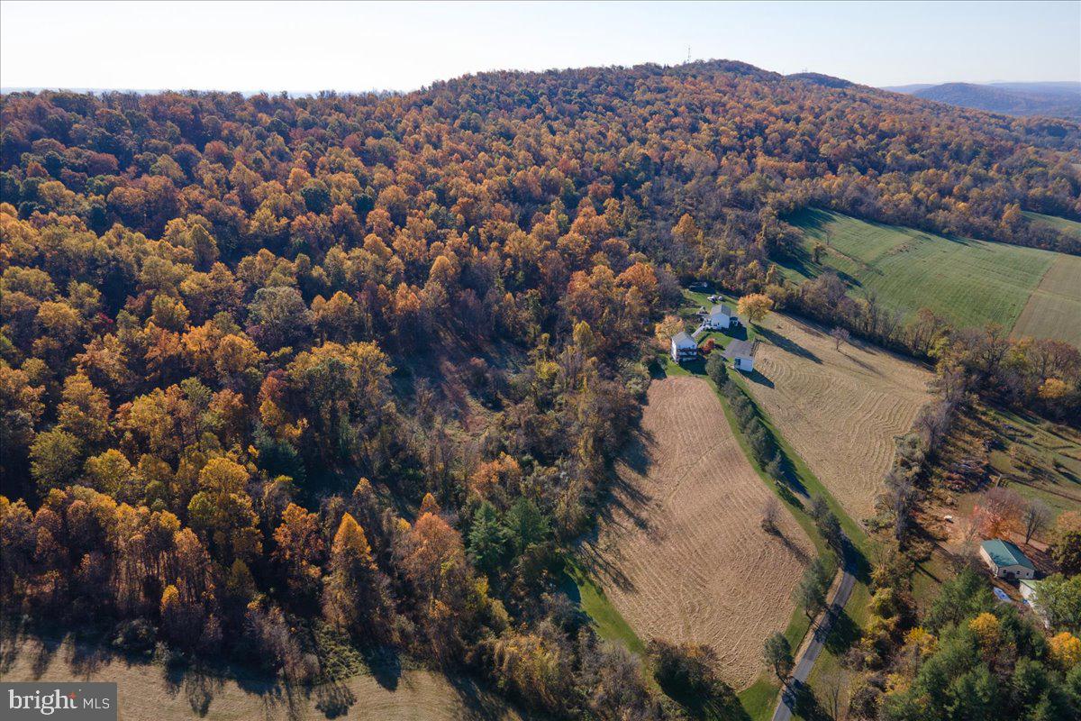 3601 Fry Road Jefferson, MD 21755 - Photo 107 of 124
