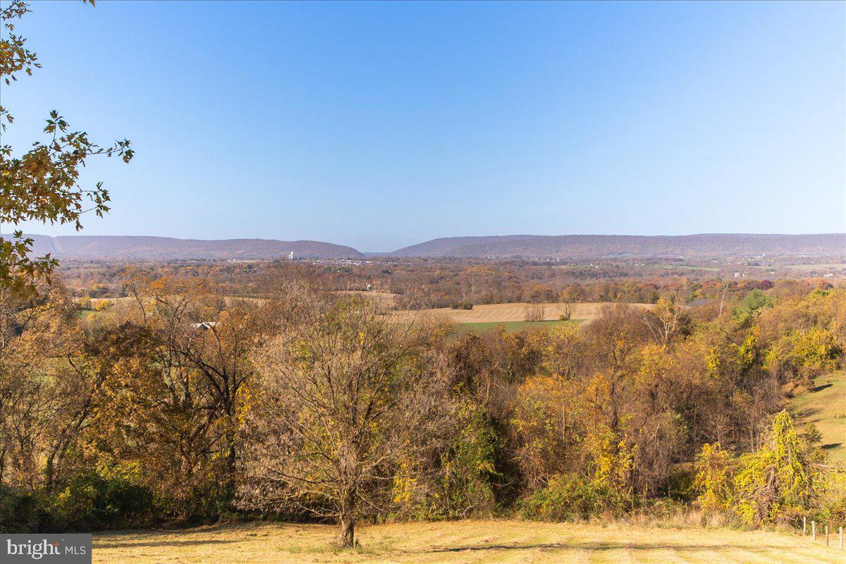 3601 Fry Road Jefferson, MD 21755 - Photo 53 of 124
