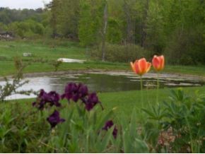 459 Duhamel Road Morristown, VT 05661 - Photo 15 of 23