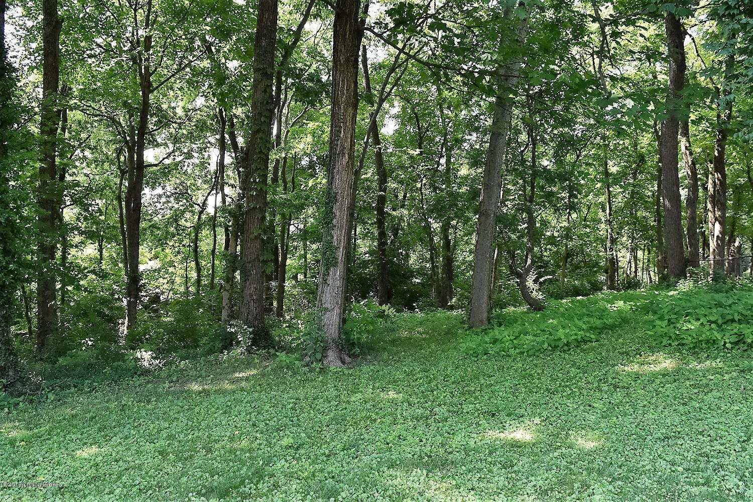 2716 Lamont Road Louisville, KY 40205 - Photo 41 of 46 DSC_1057