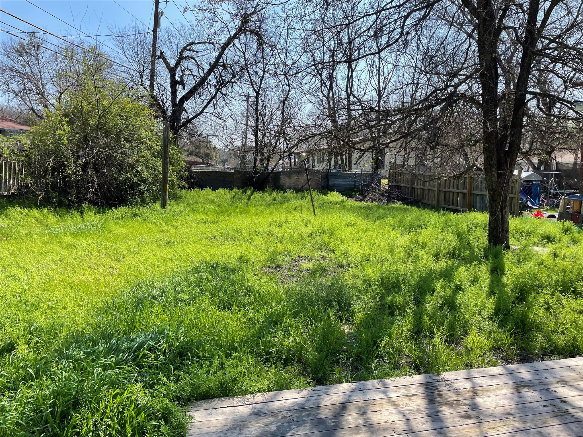 1041 Lott Avenue Austin, TX 78721 - Photo 14 of 14 a backyard of a house with lots of green space