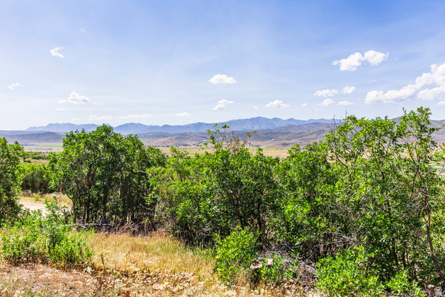 1417 Splendor Valley Road, Unit 41 Kamas, UT 84036 - Photo 6 of 22